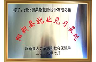 Certificates&Patents_Hubei Jintian Tyre Co., Ltd