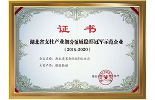Certificates&Patents_Hubei Jintian Tyre Co., Ltd