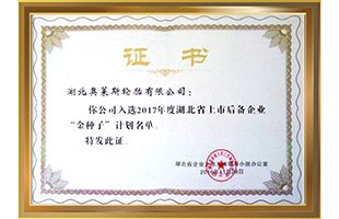 Certificates&Patents_Hubei Jintian Tyre Co., Ltd